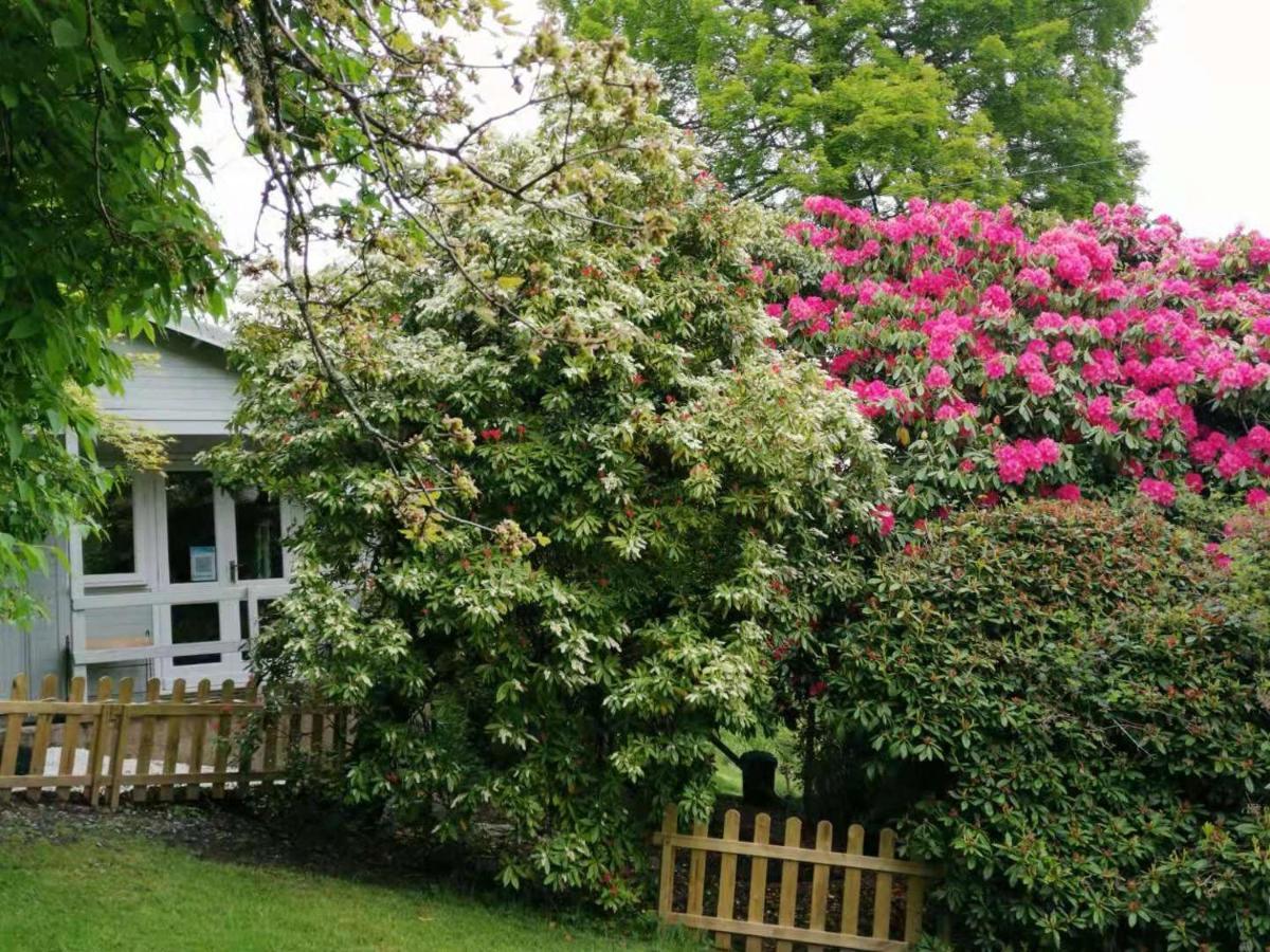 Vila Treeside Woodhouse Hawkshead Exteriér fotografie